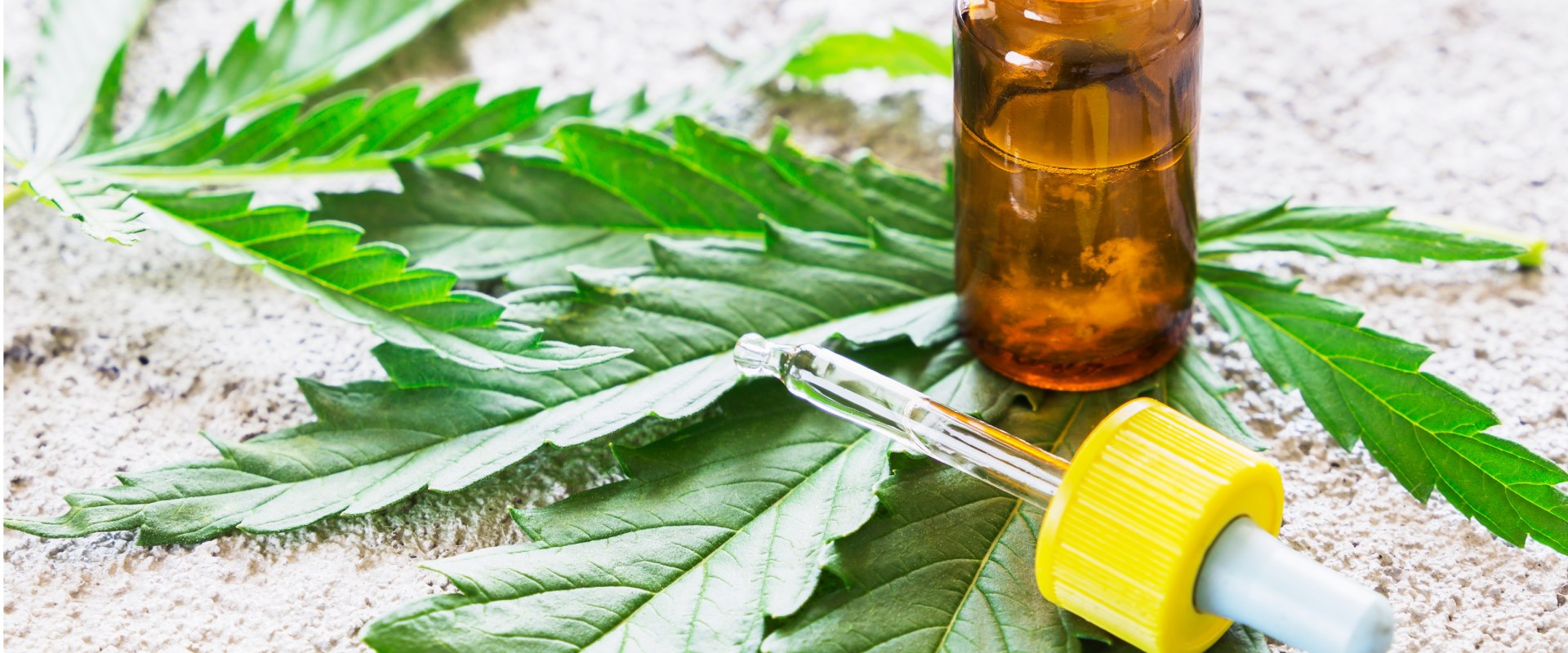 The Difference Between Hemp and CBD: A Comprehensive Guide