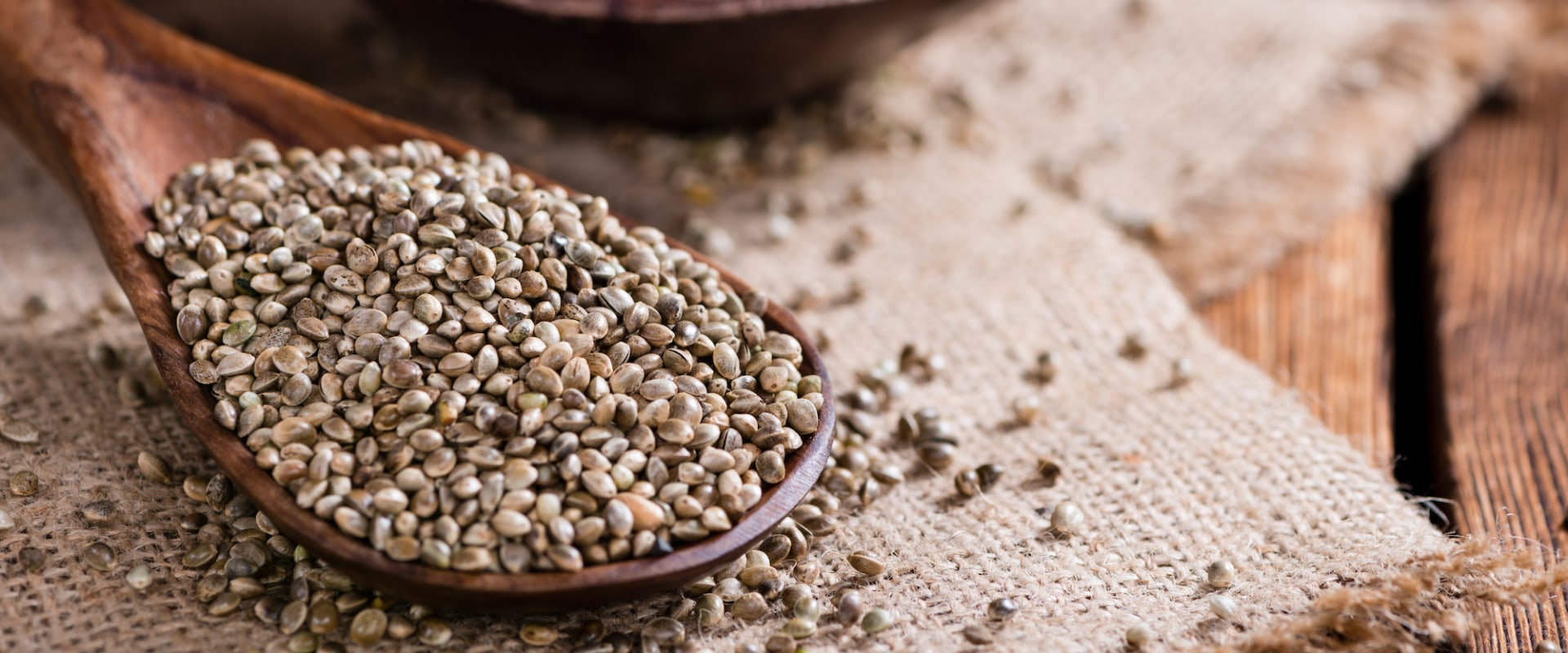 The Benefits of Hemp Seeds for Dogs