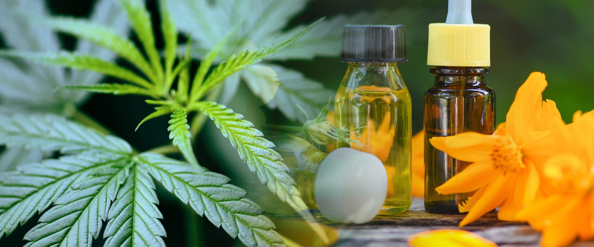 What CBD Products are FDA Approved?