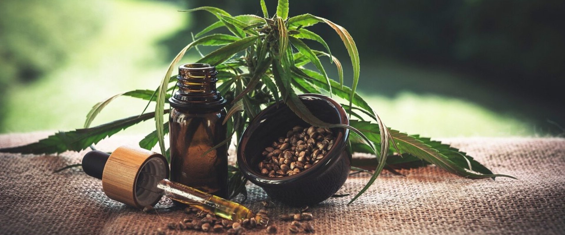 What is Cannabidiol and Who Can Benefit from its Use?