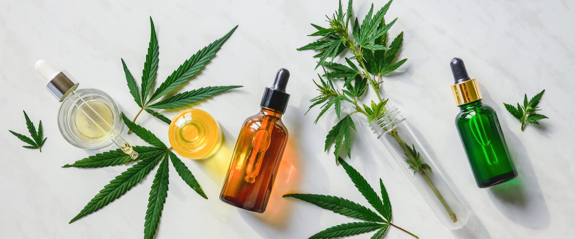 What's the Difference Between Hemp Oil and CBD Oil?