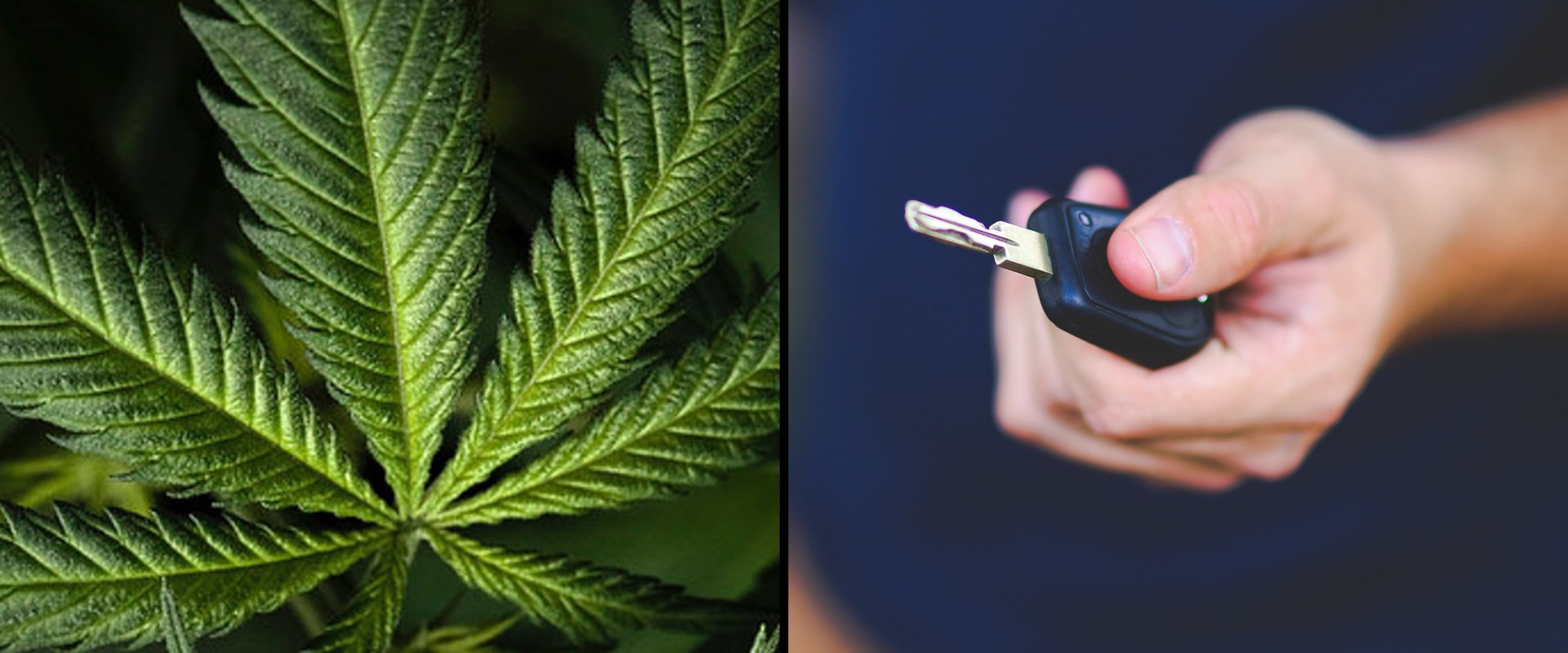 What is the Lowest Level of THC That Can Be Detected?