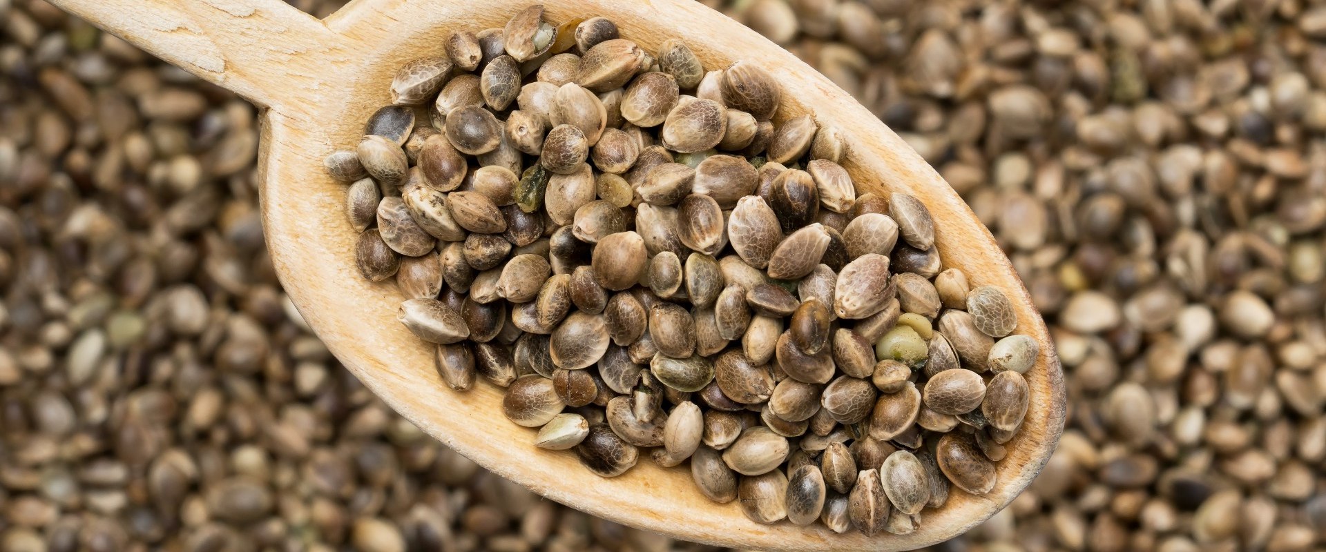 Will Eating Hemp Seeds Make You Fail a Drug Test?