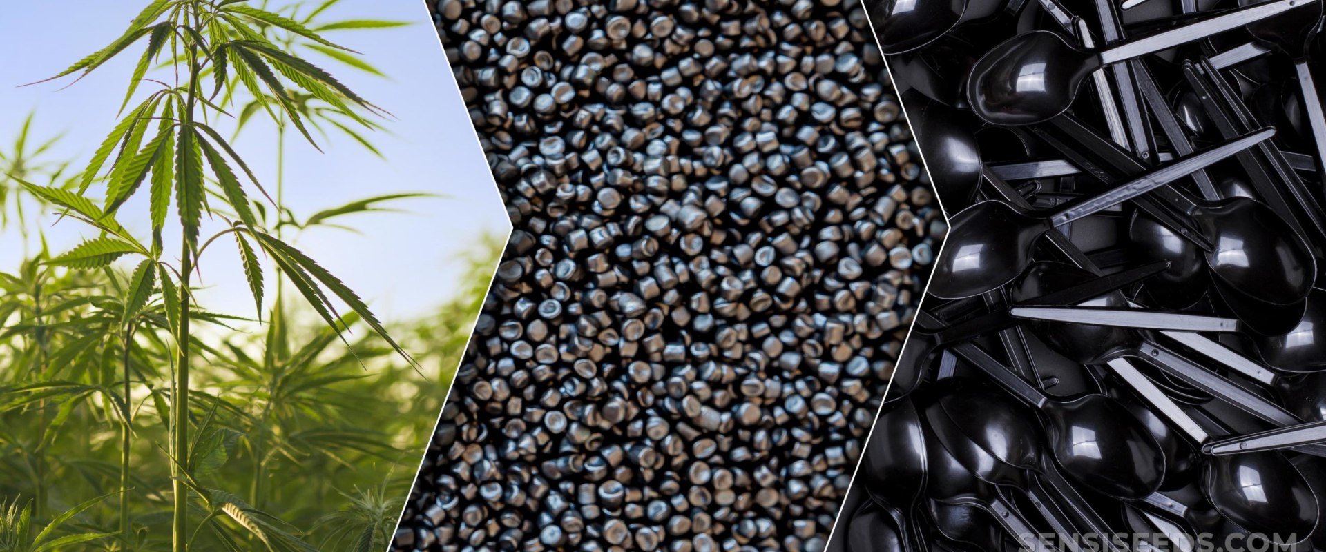 The Benefits of Hemp Plastic: A Sustainable and Renewable Alternative