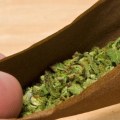 Is Hemp Seeds Gluten-Free? An Expert's Guide