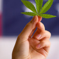 Is hemp legal in all 50 states?