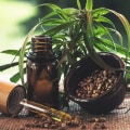 What is Cannabidiol and Who Can Benefit from its Use?