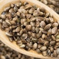 Will Eating Hemp Seeds Make You Fail a Drug Test?