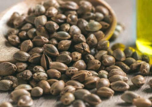 The Benefits of Hemp Seed Oil for Dogs