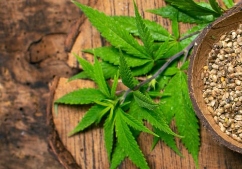 Everything You Need to Know About Edible Hemp Parts