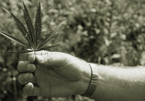 The History of Hemp Prohibition in the US