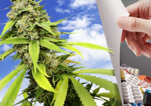 What Are the Benefits of THC as a Bronchodilator?