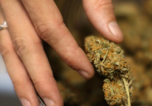 What is the Lowest Level of THC That Can Be Detected?